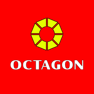 Octagon_Computer_Store